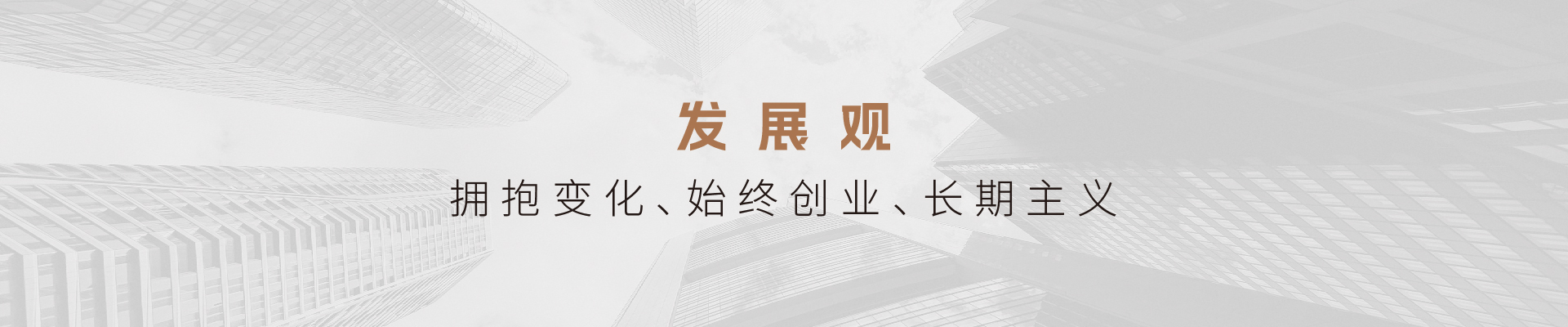 发展观